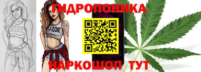 бошки Донецк